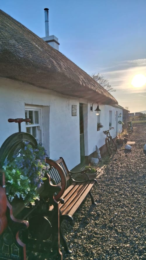 Cissy's Cottage at Ballymultimber in Limavady features a white-washed thatched cottage with blue flowers and rustic seating