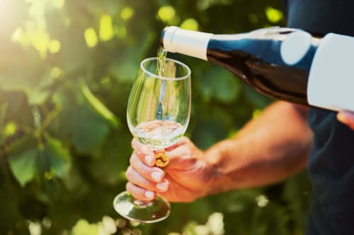 Pouring white wine at Domaine Le Piboul vineyard in Fontcouverte, France