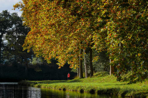 Autumn trees with golden foliage along a peaceful waterside path at Domaine Le Piboul in Fontcouverte, France