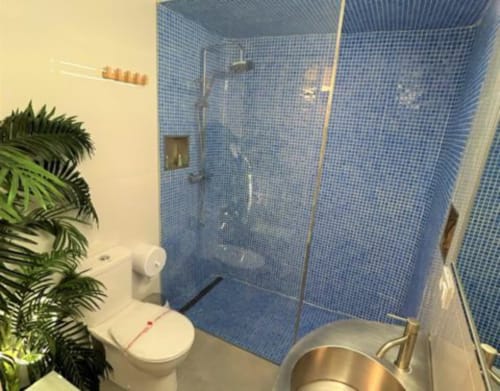 Baño moderno del Hostal Fornet Altea con ducha de mosaico azul, inodoro blanco, lavabo y planta verde en maceta