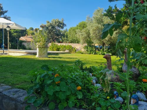 Vistas al jardín de la casa rural Las Casitas de Noe con flores, césped, piscina y árboles en Madrid