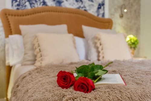 Romantic bedroom at Le Petit Palace Catedral, Jerez de la Frontera, with red roses on bed and modern furnishings