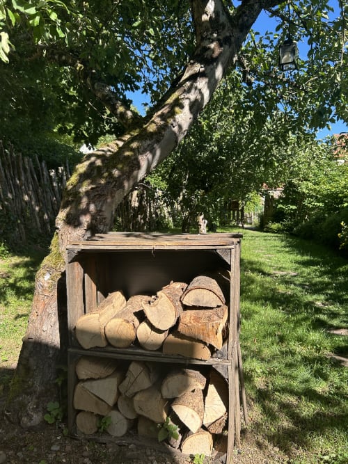 Abri rustique en bois pour le stockage de bois près d'un arbre recouvert de mousse dans le jardin des Cabanes du Nideck, Oberhaslach