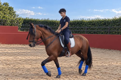 Joven jinete en caballo marrón con vendas azules en arena de la pista ecuestre de Guadalupe, Cáceres