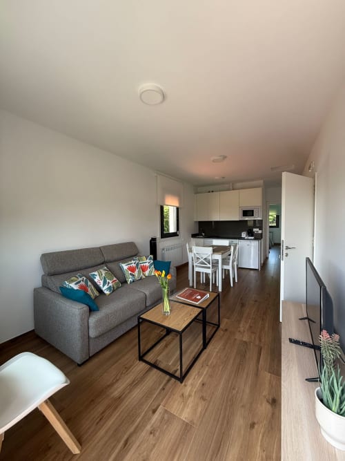 Estudio moderno en Bikarte Sober con sofá gris, zona de comedor, cocina americana, suelos de madera y televisión