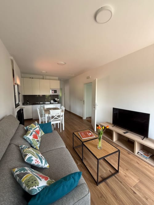Salón moderno del hotel Bikarte en Sober con sofá gris, televisión de pantalla plana y cocina abierta