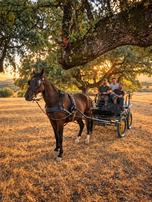 Paseo en carro tirado por caballos en El descanso del peregrino de Guadalupe, Cáceres, con huéspedes bajo un ancestral roble al atardecer
