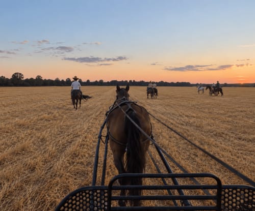 Paseo en carreta tirada por caballos al atardecer cerca de El descanso del peregrino en Guadalupe, Cáceres