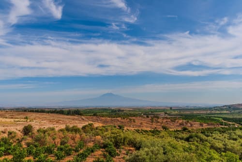 L'Etna e gli uliveti visti da Villa Brikinnia a Lentini, Sicilia