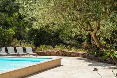 Piscine et terrasse en pierre entourées d'oliviers aux Hauts de Diane, une retraite provençale en Provence à Cuers