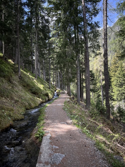 Sentier de randonnée en forêt avec ruisseau à l'Hôtel Sunways, Champex-Lac Suisse, entouré de grands sapins