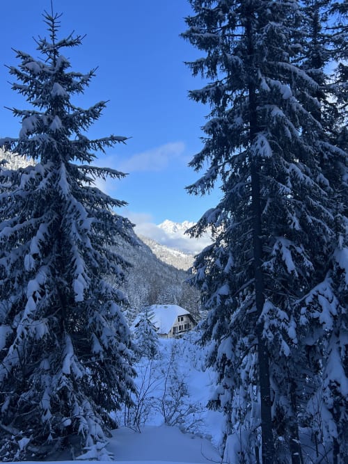 Sapins enneigés encadrant la vue hivernale de la vallée à l'Hôtel Sunways, Champex-Lac Suisse