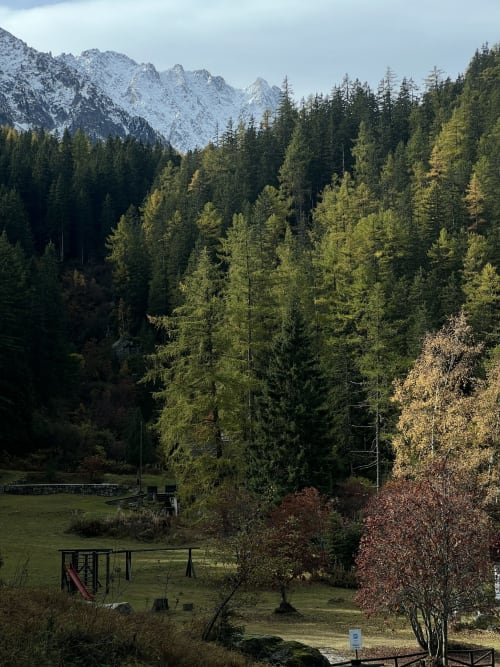Paysage alpin avec forêt de conifères et feuillages d'automne dominant la vallée de Champex-Lac