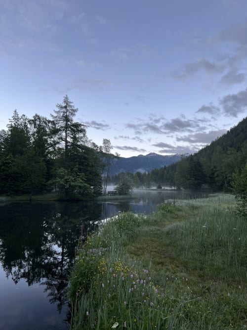 Lac alpin paisible à l'Hôtel Sunways à Champex-Lac avec forêt, montagnes et prairie fleurie au crépuscule