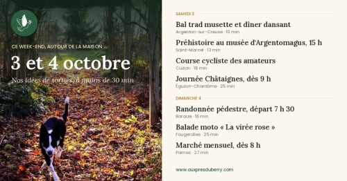 Weekend activities near Aux Prés Du Berry: dog walking through autumn forest, local events in Berry region
