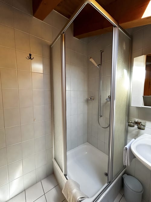 Salle de bain avec douche vitrée à l'Hôtel les Bouquetins à Zinal, aux murs carrelés et toilettes