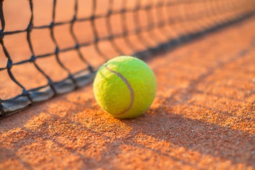 Balle de tennis éclatante sur court de terre battue avec filet aux Gîtes du Clubhouse, Beussent