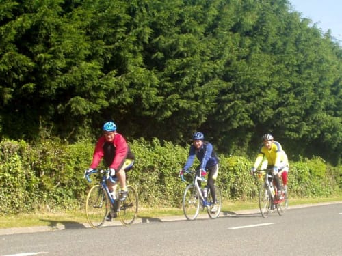 Trois cyclistes circulant sur une route pittoresque près de Beussent, France avec une forêt verdoyante en arrière-plan