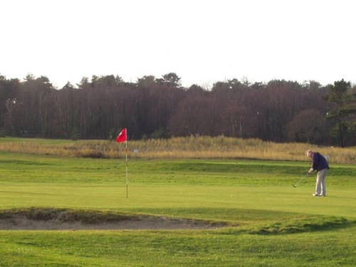 Golfeur putt sur le green du golf Clubhouse Gîtes à Beussent, France avec forêt en arrière-plan