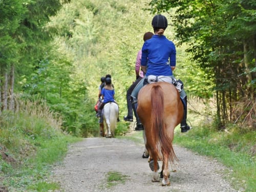 Deux cavaliers à cheval trottant sur un chemin forestier bordé d'arbres près du Clubhouse Gîtes à Beussent, France