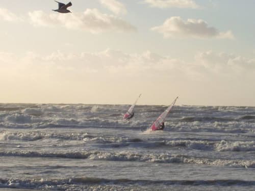 Des véliplanchistes surfent les vagues à la plage de BEUSSENT avec une mouette dans le ciel, parfait pour une escapade côtière active