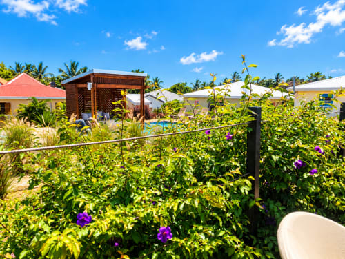 Jardin luxuriant avec fleurs violettes au gîte Le Quetzal à Sainte-Anne, Guadeloupe, surplombant la piscine et le bungalow en bois.