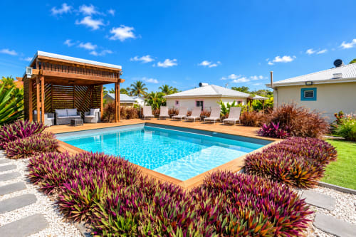 Vue du jardin du Quetzal avec piscine entourée de plantes violettes éclatantes et pergola en bois à Sainte-Anne, Guadeloupe