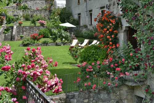 Giardino in fiore al Roseto del Drago con rose rosa e arancioni, edificio in pietra e lettini sul prato curato