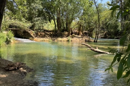 Poço fluvial sereno em Recantos D'Almerinda cercado por vegetação exuberante e floresta natural, Pombal Portugal