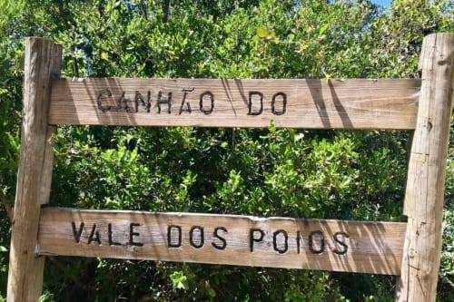 Placa de madeira em Recantos D'Almerinda em Pombal com a inscrição 'Canhão do Vale dos Poios' com fundo de folhagem verde
