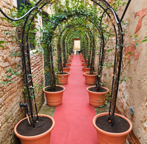 Affascinante corridoio del giardino di Palazzo Titti a Venezia con archi neri ricoperti di edera, vasi in terracotta e pavimento rosa