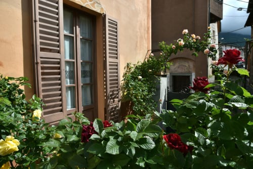 Affascinante cortile del Roseto del Drago con rose rosse e gialle, finestre con persiane in legno e atmosfera rustica italiana