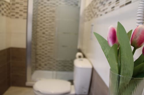 Bagno moderno del b&b U Baruni con tulipani rosa, wc e doccia piastrellata a Messina