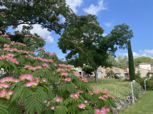 Árbol con flores rosas florece en el jardín del Domaine de la Bégude en Fayence, Francia, con villa campestre y ciprés