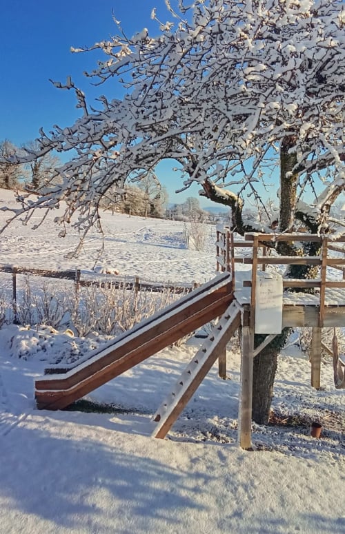 Paysage hivernal enneigé au gîte La Ferme Buissonnière à Biol avec clôture en bois et arbres givrés