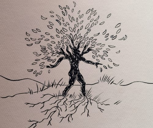 Pen sketch of a tree with detailed roots at Le Bacalan B&B, Mormoiron