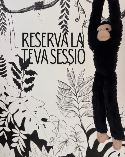 Peluche de mono negro colgando de enredaderas con dibujos botánicos y texto 'Reserva la Teva Sessio' en el hotel Espai Valldevia