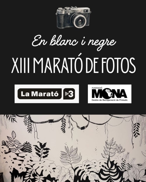 Cartel de la XIII Maratón de Fotos en Espai Valldevia: evento de fotografía en blanco y negro en Valldevia