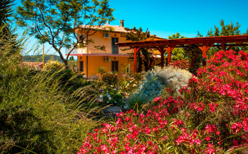 Villa gialla con pergolato rosso circondata da vivaci bougainvillee rosse e lussureggianti giardini a Modolo, Sardegna