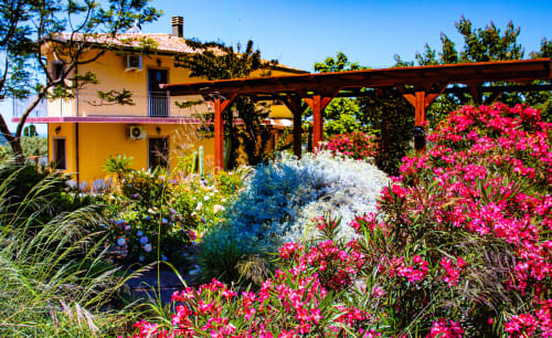 Giardino vibrante con fiori rosa della villa Sardegna Explora House a Modolo, Italia, con edificio giallo e elementi in legno