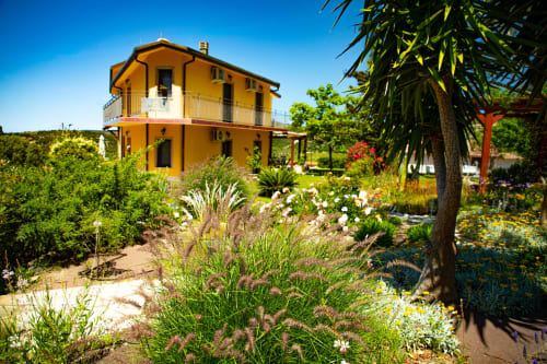 Villa gialla con giardino circondato da piante e fiori mediterranei a Modolo, Sardegna