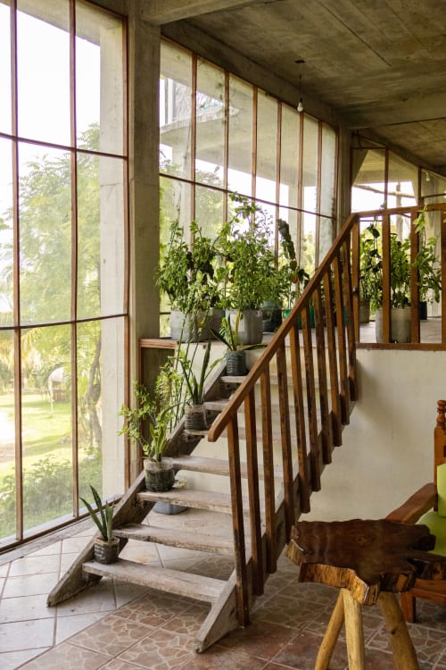 Pasillo iluminado por la luz natural del hostal Cayuco Maya en Bacalar, con plantas en macetas, barandilla de madera y vistas al jardín a través de grandes ventanales