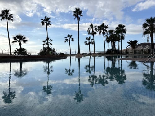 Serene pool area at Manage Home Tenerife in Los Cristianos with palm tree reflections and sea views
