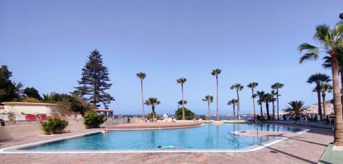 Luxury pool with palm trees overlooking the sea at Manage Home Tenerife apartment in Los Cristianos
