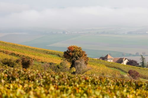 Vineyards and countryside surrounding Epinac with traditional French farmhouse, autumn foliage