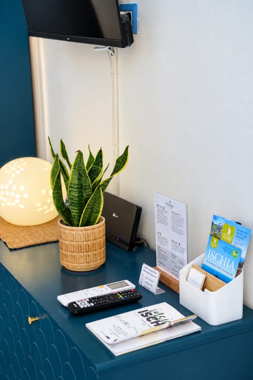 Hotel desk with lamp, snake plant, remote control, travel guides, and notebook at Chiaia di Rose in Ischia, Italy