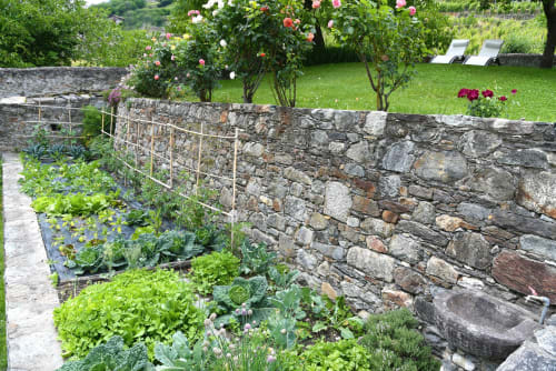 Orto e roseto della struttura Roseto del Drago B&B a Ponte in Valtellina, Italia
