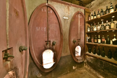 Storica cantina a Roseto del Drago con grandi botti in terracotta e bottiglie d'epoca su scaffali di legno