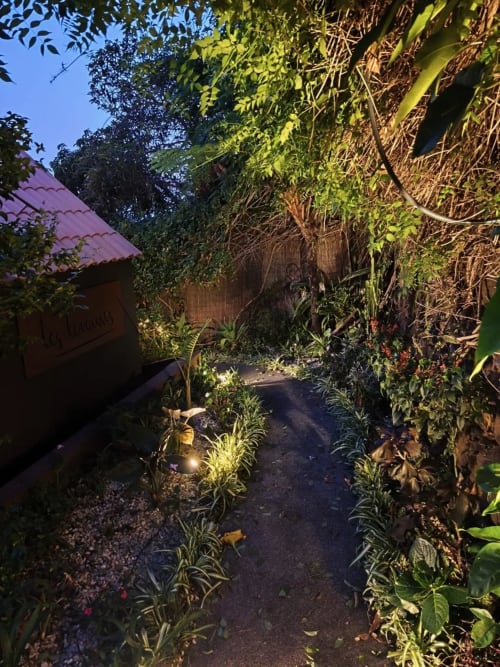 Camino ajardinado exuberante en Les Terrasses Suites de Calheta, Portugal, iluminado por la luz del atardecer