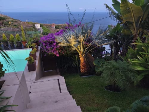 Jardín de lujo de Les Terrasses Suites con piscina turquesa, buganvilia púrpura y palmeras con vista a la costa de Calheta